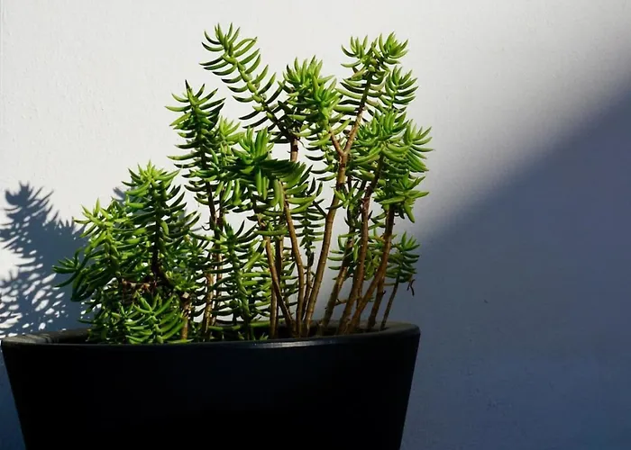 Apartmán At The Marina Lagos