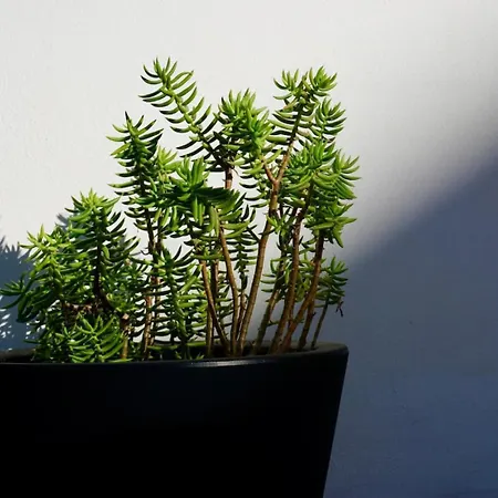 Daire At The Marina Lagos